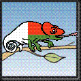 Cameleon_3