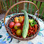 lanceball's Vegetable garden