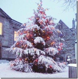 05-12-xmas-tree-bodmin_640_1_Large_Image