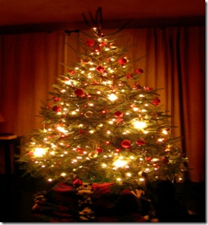 xmas-tree-2005