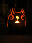 DSCN2625.JPG 