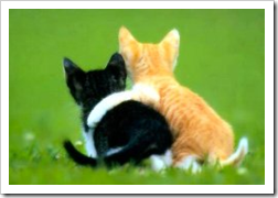 kitty friends