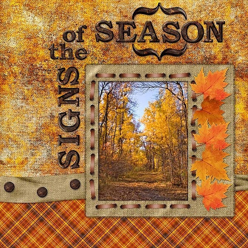 Signs of the Season