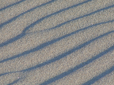 Sand Ripples on Manzanita Beach, Oregon. 