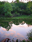 Reflections in Barton Creek, near Austin TX. 