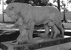 Statue of lioness & her cubs in Cannes, France. 