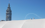 Seagulls and Ferry Building clock tower. Photo by Lisa Callagher Onizuka