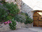 Garden in Provence. France. 
