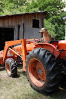 Tractor dog. 