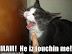 MAM! He iz touchin me! - LOLcats from IcanHasCheezburger.com