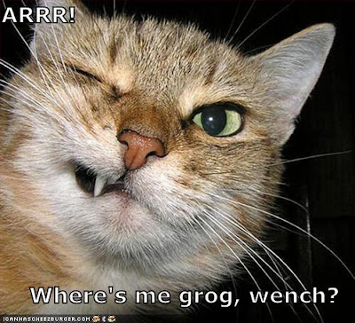 ARRR!!! Where's me grog, wench? - LOLcats from IcanHasCheezburger.com