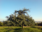 DSC00014.JPG