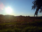 DSC00015.JPG