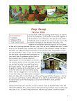 Coop_Scoop_Winter2006_Page_1.jpg