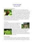 COOPSCOOPspring2005_Page_1.jpg