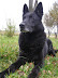 Obraz 3427.jpg