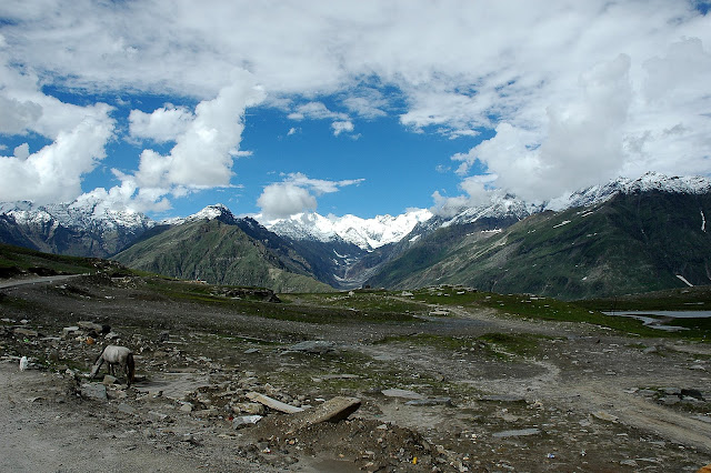 Rohtang pass