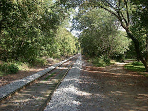 Imgp0460