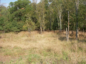 Imgp0580