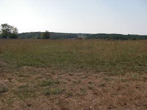 Imgp0588