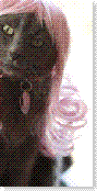 wiglinkpink