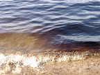 oil spill Underwater