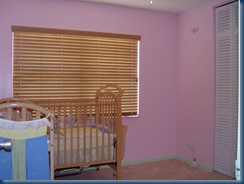 1-DSC00254