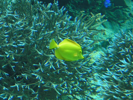 pict0099.JPG