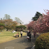 Shinjuku Gyoen National Park in April 2007