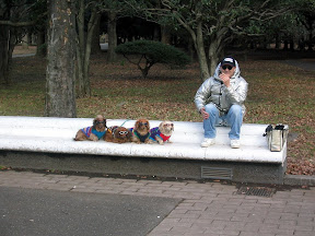 Dogs in Yoyogi Park