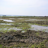 More of Haruta-hama