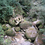 The Arakawa river, flowing through Yakusugi land
