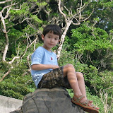 Kai at Yudomari onsen, Yakushima