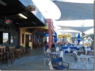 tauranga03