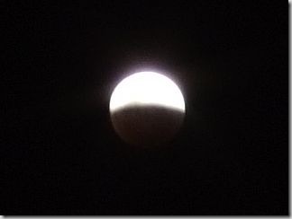 greymouth12