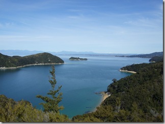 nelson07