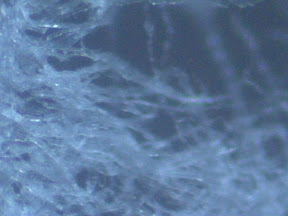 Kleenex Ultra soft 200x 3.jpg