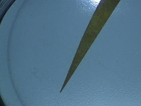 unknown florsecent fiber 10x.jpg