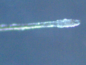 eyelash root 200x.jpg