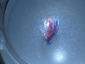 fuzzball rwb 10x.jpg