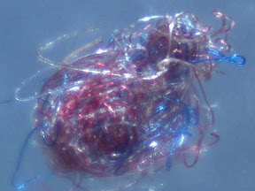 rwb fuzzball 3 60x.jpg