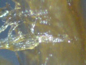 chicken skin 6 200x.jpg