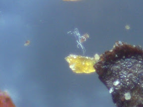 seasoning 1 60x.jpg