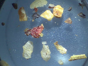 seasoning 1 10x.jpg