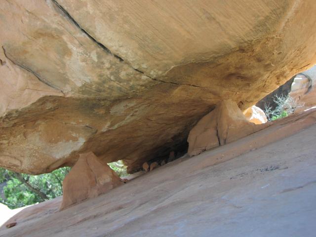 [P6220256.jpg]