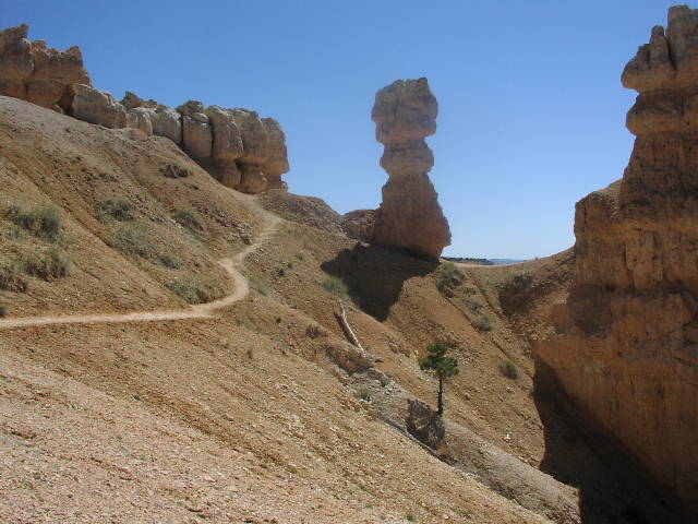 [P6190132.jpg]