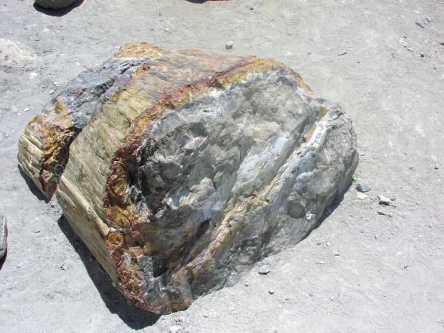 [P6200198.jpg]