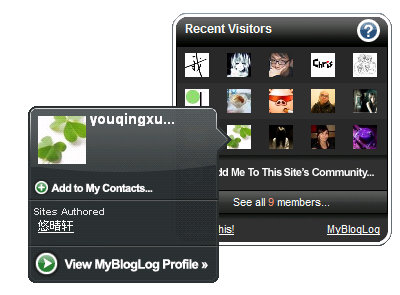MyBlogLog Widgets