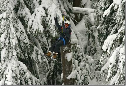 Ziptrek Image 3-2