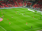 IMGP0890.JPG
